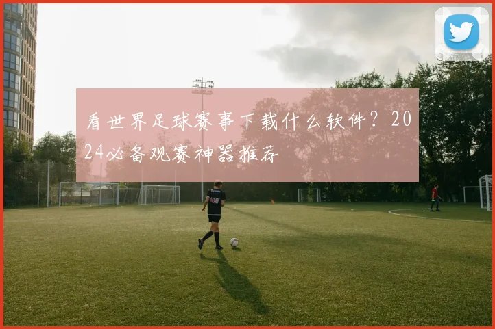看世界足球赛事下载什么软件？2024必备观赛神器推荐