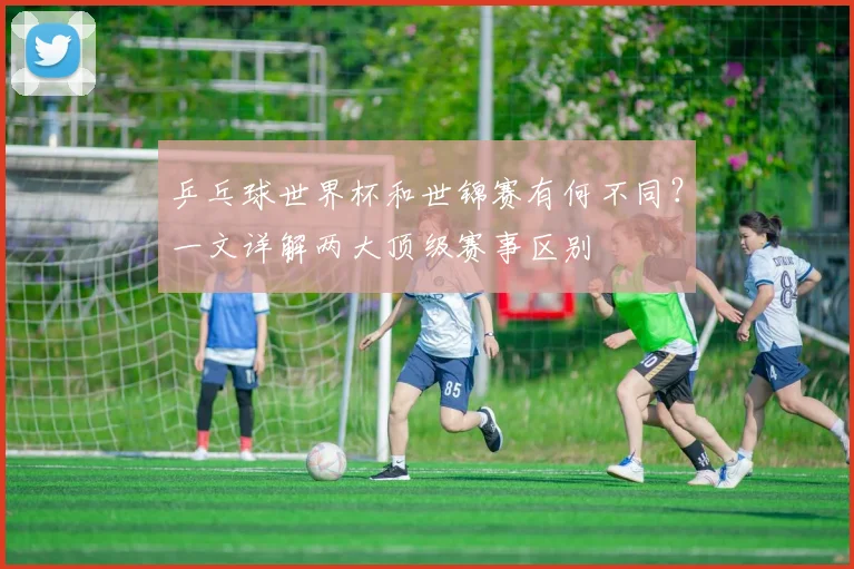 乒乓球世界杯和世锦赛有何不同？一文详解两大顶级赛事区别